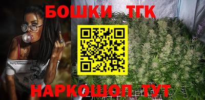 крисы Нальчик