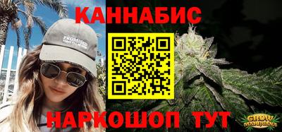 крисы Нальчик