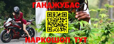 крисы Нальчик