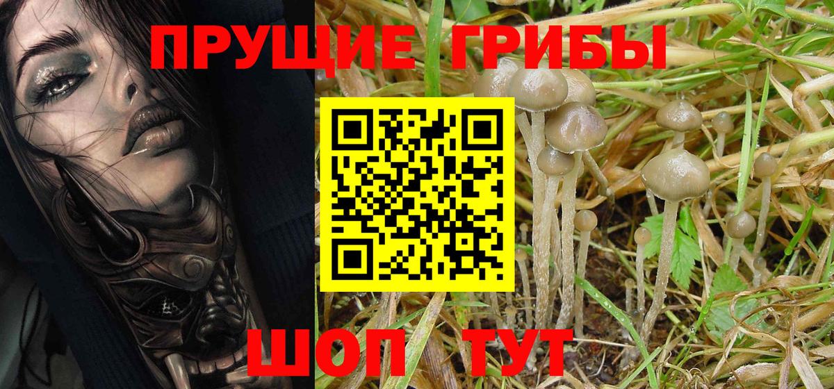 Псилоцибиновые грибы MAGIC MUSHROOMS Ялуторовск