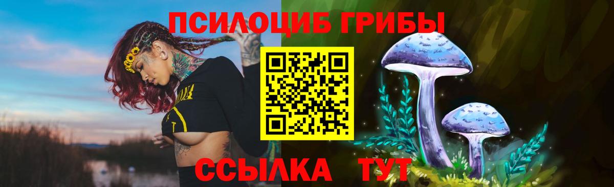 Псилоцибиновые грибы Cubensis  Вход с VPN  Псилоцибиновые грибы Psilocybine cubensis  Ялуторовск 